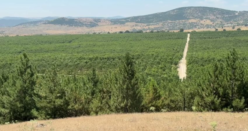 Yozgat’ın Kadışehri ilçesine bağlı Kabalı köyünde 2009 yılında köylülerin arazilerini