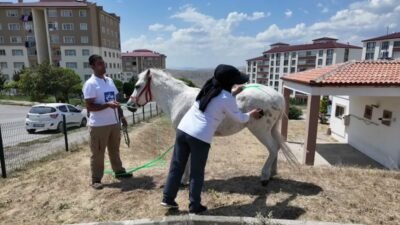 Yozgat Belediyesi, Türkiye Jokey Kulübü’nün desteği ile çocuklara yönelik etkinlik