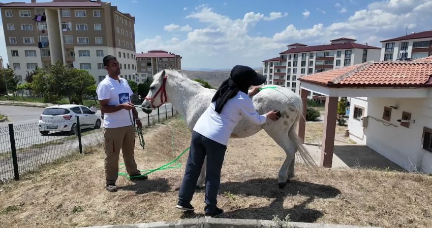 Yozgat Belediyesi, Türkiye Jokey Kulübü’nün desteği ile çocuklara yönelik etkinlik