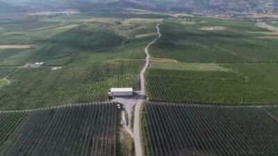 Yozgat'ın Kadışehri ve Sorgun ilçelerindeki meyve bahçelerinde kiraz hasadı başladı.