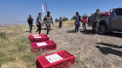 Yozgat’ta 2007 yılında kurulan Doğa Koruma ve Milli Parklar (DKMP)