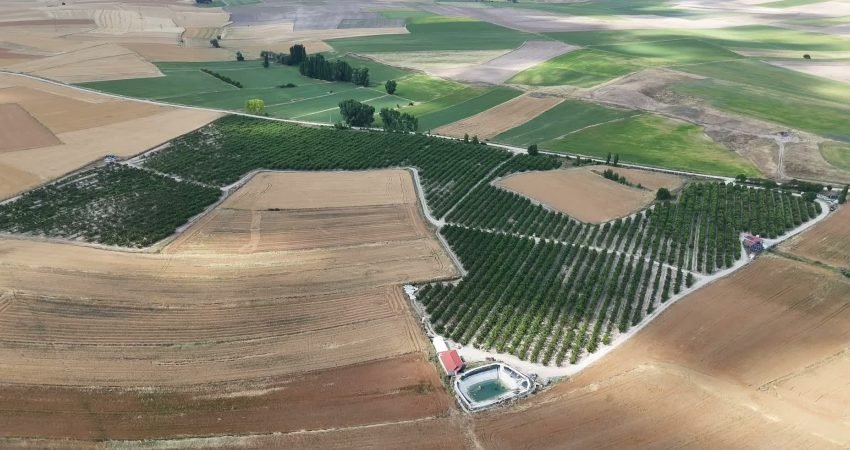 Yozgat'ın Sorgun ilçesine bağlı Bahadın beldesinde 5 yıl önce 164