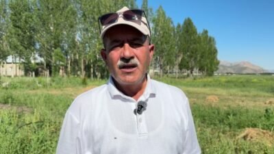 Hakkari’nin Yüksekova ilçesinde iki yıl önce deneme amacıyla ekilen salepte