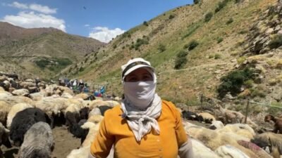 Hakkari'nin Yüksekova ilçesine bağlı Onbaşılar köyünde geçimlerini berivanlık olarak tabir