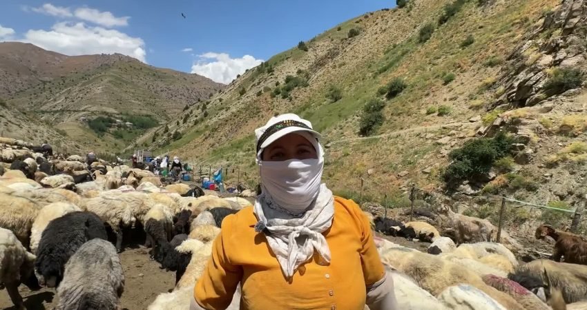 Hakkari'nin Yüksekova ilçesine bağlı Onbaşılar köyünde geçimlerini berivanlık olarak tabir