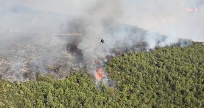 Yunanistan'da Girit ve Mora Yarımadası'ndaki orman yangınlarına müdahale eden üç