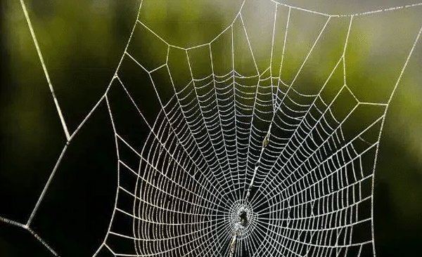 Millî Eğitim Bakanının müfredatta yapmayı düşündüğü bir değişiklik haklı olarak