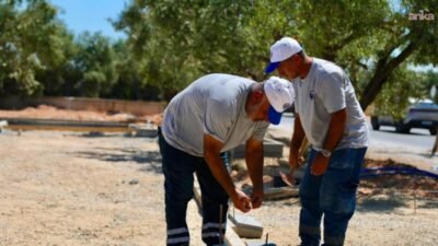 Didim Belediyesi'nin doğal zeytinlik alanı koruyarak hayata geçirdiği Zeytin Park