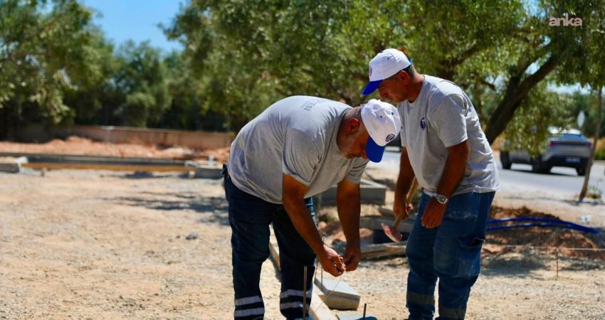 Didim Belediyesi'nin doğal zeytinlik alanı koruyarak hayata geçirdiği Zeytin Park
