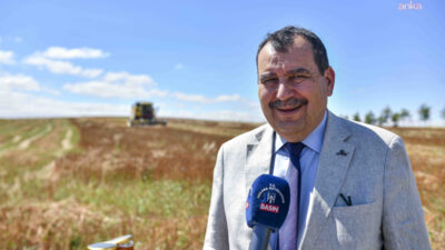 Ankara Büyükşehir Belediyesi, ATA Çiftliği’nde deneme üretimi yapılan karabuğdayın ilk