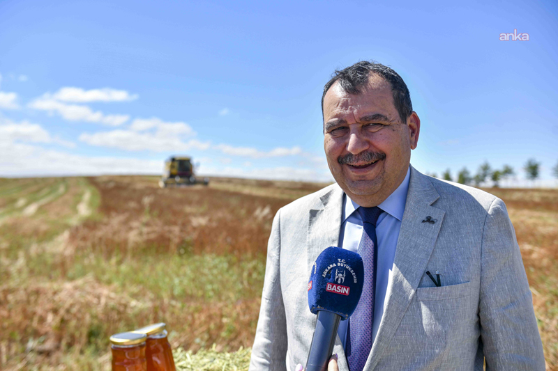 Ankara Büyükşehir Belediyesi, ATA Çiftliği’nde deneme üretimi yapılan karabuğdayın ilk