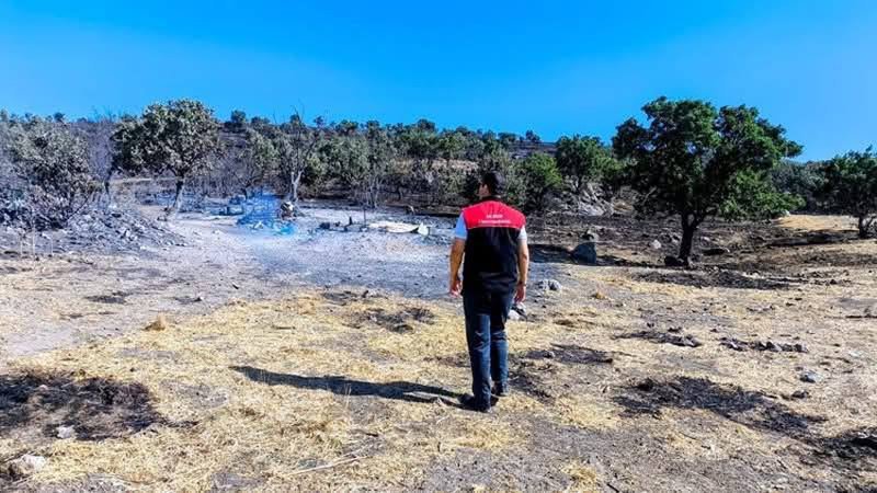 Balıkesir’in Gömeç ilçesinde meydana gelen yangının ardından tarımsal alanlardaki zararın