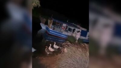 İçişleri Bakanlığı'ndan yapılan açıklamada, 23 ilde düzenlenen operasyonlarda 48 göçmen
