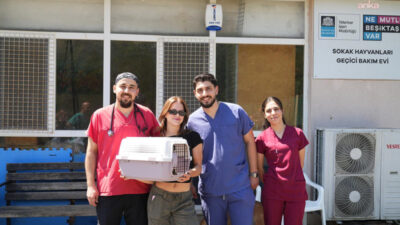 Beşiktaş Belediyesi engelli kedi ünitesi, can dostları sıcak yuvalarla buluşturmaya