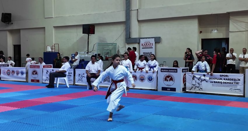 Gemlik Belediyesi iş birliğiyle bu yıl 7’ncisi düzenlenen "Uluslararası Gemlik