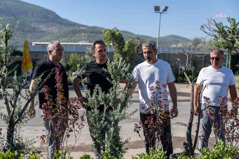 Bornova Belediye Başkanı Ömer Eşki, Bornova Belediyesi Park ve Bahçeler