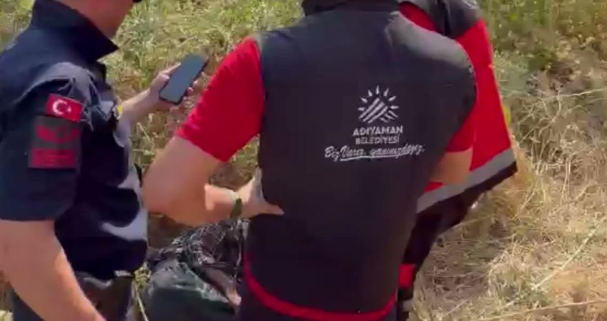 Adıyaman Belediyesi Arama Kurtarma ekibi, kayıp alzheimer hastasını sağ olarak buldu Adıyaman’ın Besni ilçesinde sabah saatlerinde evinden ayrıldıktan sonra kendisinden haber