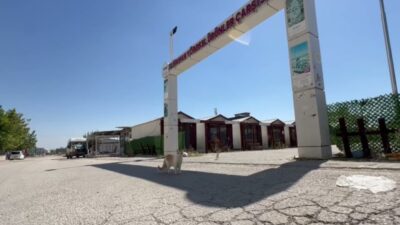 Adıyaman Belediyesi Veteriner İşleri Müdürlüğü ekipleri,  tahliye edilen konteyner