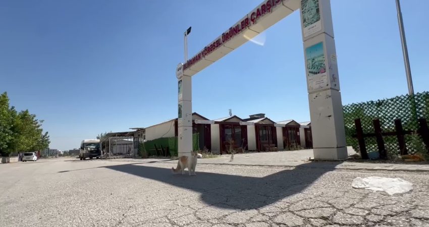 Adıyaman Belediyesi Veteriner İşleri Müdürlüğü ekipleri,  tahliye edilen konteyner