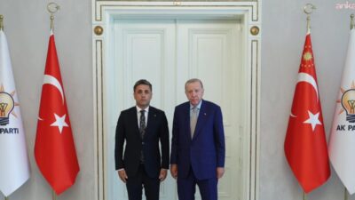 AK Parti Teşkilat Başkanlığı, Cumhurbaşkanı ve AK Parti Genel Başkanı