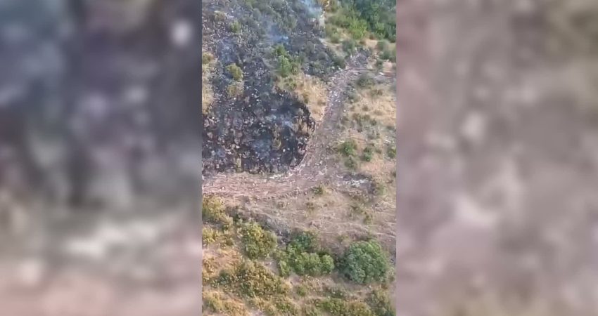 Manisa’nın Akhisar ilçesine bağlı Yeğenoba Mahallesi’nde çıkan orman yangını, ekiplerin