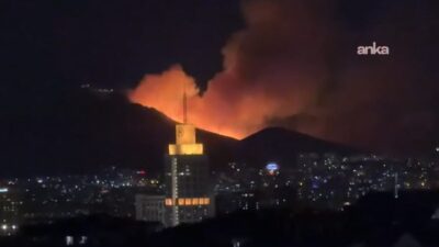 Orman Genel Müdürlüğü, Ankara'nın Mamak ilçesinde ağaçlık alanda çıkan yangının