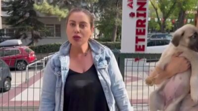 Ankara'nın Çankaya ilçesinde 27 Temmuz'da Gülay Akgün Mutlu'nun öldürülmesine ilişkin şüpheli