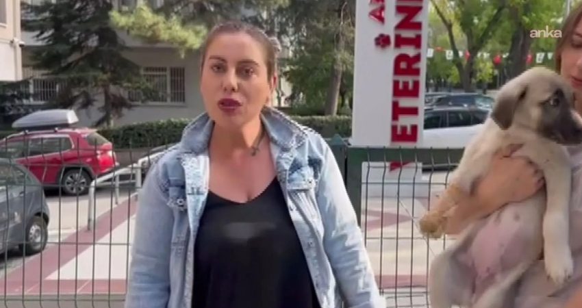 Ankara'nın Çankaya ilçesinde 27 Temmuz'da Gülay Akgün Mutlu'nun öldürülmesine ilişkin şüpheli