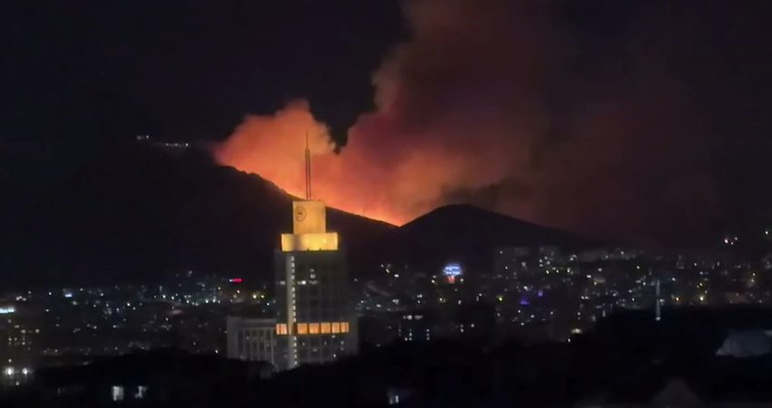 Ankara'nın Mamak ilçesi Başak Mahallesi Hüseyingazi Türbe Yolu civarındaki ağaçlık