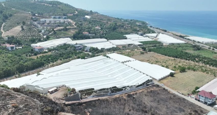 Antalya Büyükşehir Belediyesi, Alanya ve Gazipaşa’da çıkan yangınlarda serası zarar