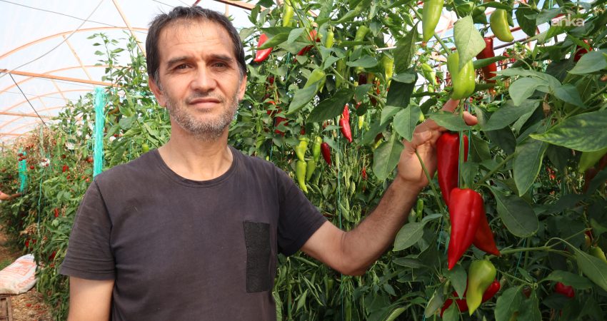 Antalya Büyükşehir Belediyesi’nin destekleriyle üretim artıyor, sulama kayıpları en aza iniyor Antalya Büyükşehir Belediyesi, sulama kooperatifleri aracılığı ile Antalya tarımına ve