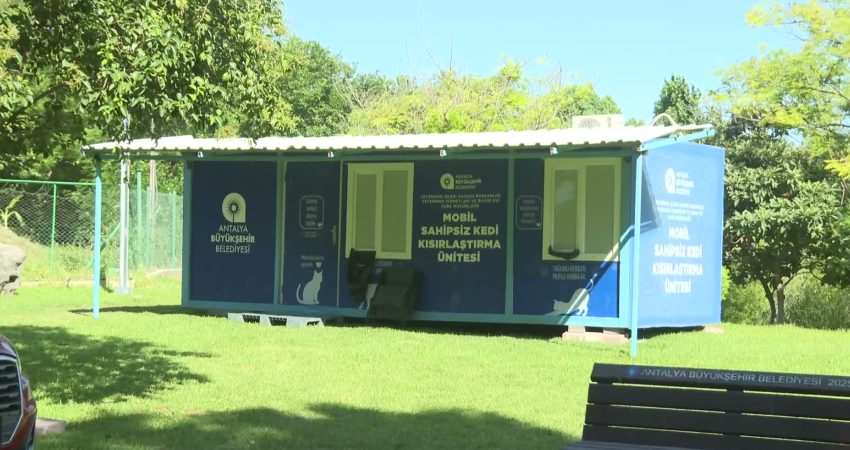 Antalya Büyükşehir Belediyesi tarafından hayata geçirilen Mobil Sahipsiz Kedi Kısırlaştırma