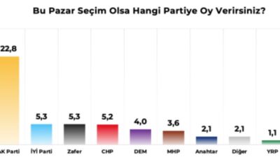Arayüz Kampanyası tarafından Türkiye genelinde 18-30 yaş aralığındaki bin 255