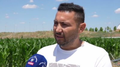 Ankara Büyükşehir Belediyesi, Gölbaşı'nda bulunan ATA Çiftliği'nde yetiştirdiği yonca kuru