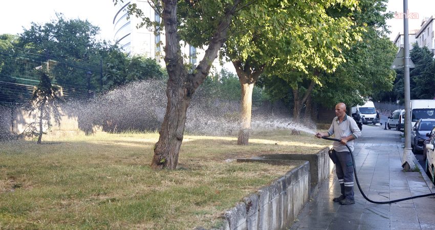 Ataşehir Belediyesi ekipleri, kent genelinde çevre temizliği, ağaç budama, mazgal