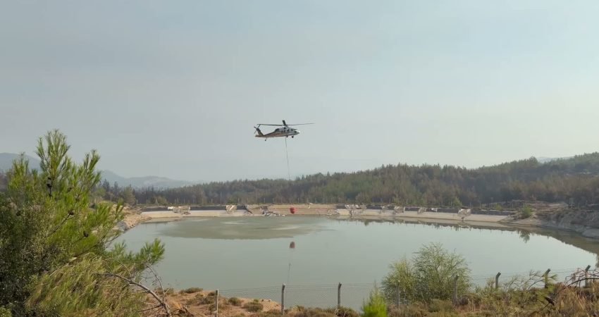 Aydın’ın Çine ilçesine bağlı Kavşit Mahallesi Kavşit Yaylası’nda 30 Temmuz’da