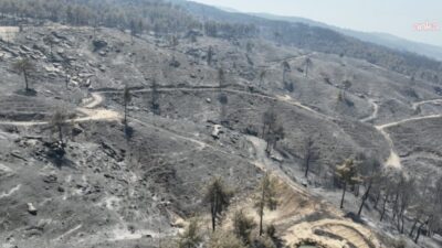 Aydın'ın Çine ilçesinde 30 Temmuz'da çıkan orman yangınına ilişkin gözaltına