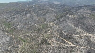 Aydın'ın Çine ilçesinde 30 Temmuz'da başlayan ve rüzgarın etkisiyle geniş