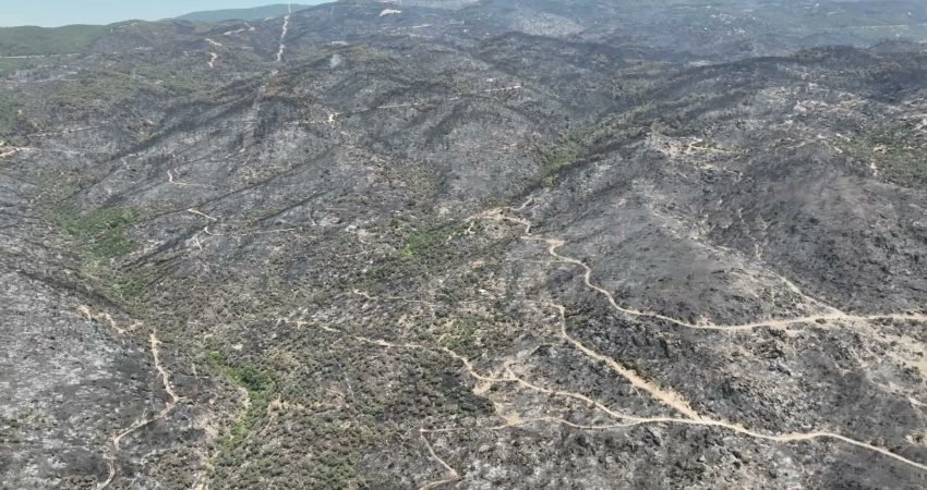 Aydın'ın Çine ilçesinde 30 Temmuz'da başlayan ve rüzgarın etkisiyle geniş