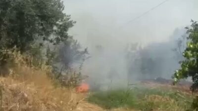 Aydın’ın Karacasu ilçesine bağlı Ataköy Mahallesi Kavaklı mevkiinde helikopter, ekipler