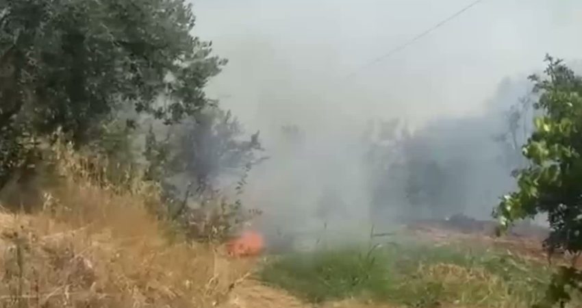 Aydın’ın Karacasu ilçesine bağlı Ataköy Mahallesi Kavaklı mevkiinde helikopter, ekipler