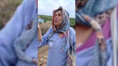 Aydın'ın Karacasu ilçesinde zirai alanda çıkan yangında 50 dekar arazi
