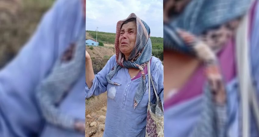 Aydın'ın Karacasu ilçesinde zirai alanda çıkan yangında 50 dekar arazi