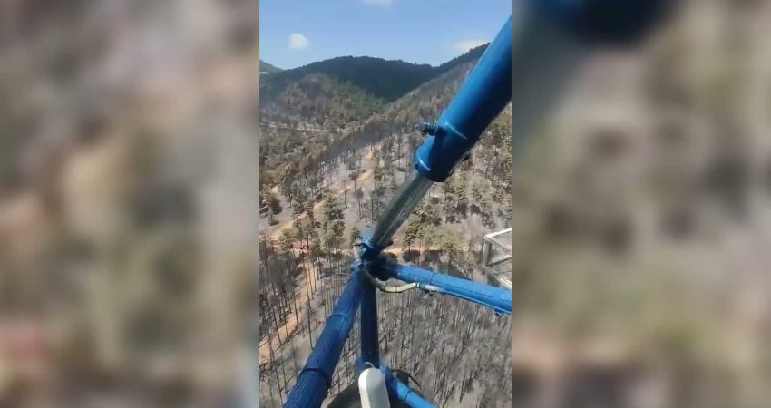 Aydın’ın Kuyucak ilçesine bağlı Gencelli köyü yakınlarında, ormanlık alanda çıkan