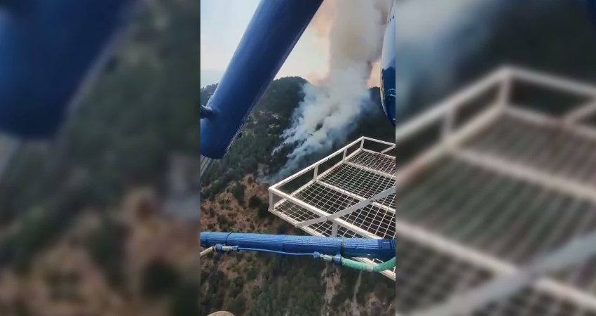 Aydın’ın Kuyucak ilçesine bağlı Gencelli köyü yakınlarında, ormanlık alanda saat