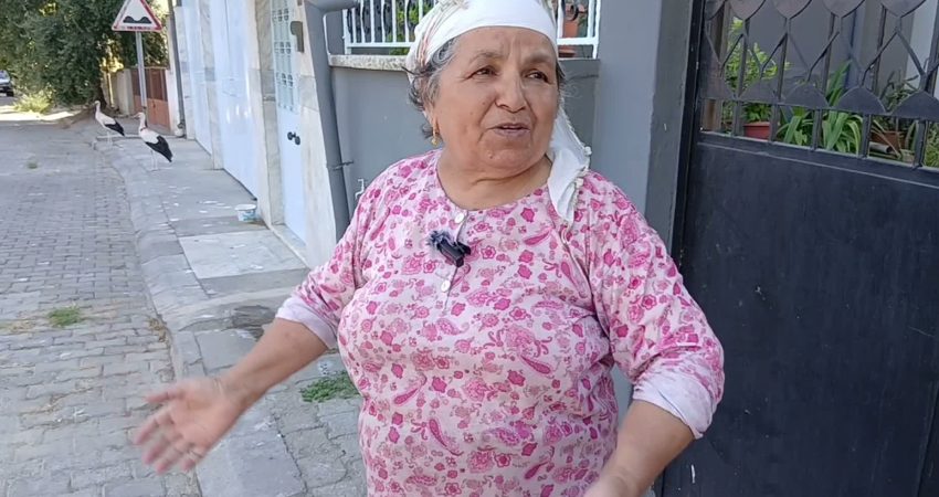 Aydın’ın Kuyucak ilçesine bağlı Pamukören Mahallesi’nde yaşayan Dalgıç çifti, evlerinin
