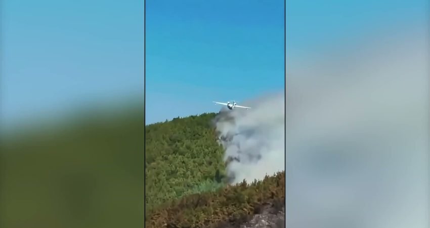 Tarım ve Orman Bakanı İbrahim Yumaklı, Aydın'ın Çine, Balıkesir'in Susurluk