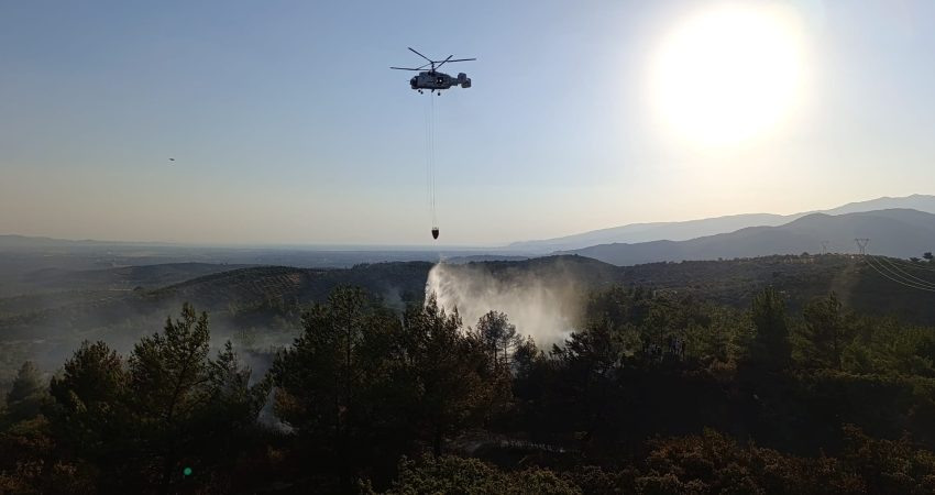 Balıkesir’in Altıeylül ilçesine bağlı Türkali Mahallesi’nde ormanlık alanda çıkan yangın,