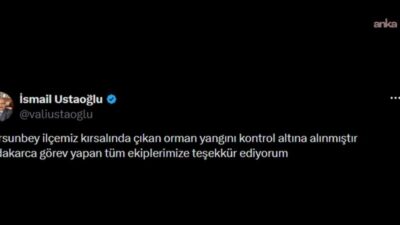 Balıkesir’in Dursunbey ilçesinde kırsal alanda çıkan orman yangını, ekiplerin müdahalesiyle