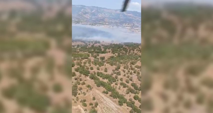 Balıkesir’in Sındırgı ilçesi Taşköy Mahallesi’nde çıkan ve ormanlık alana sıçrayan yangına